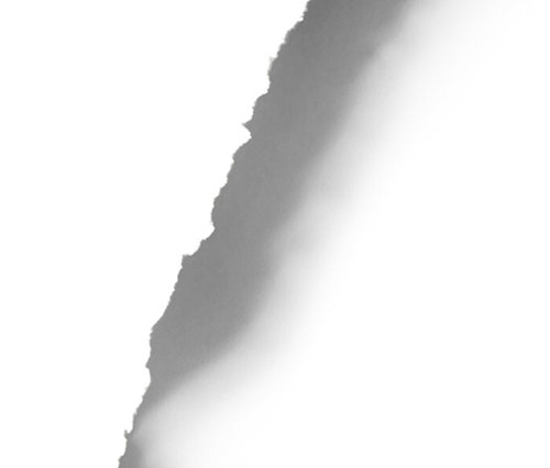 Sylwetka termoforu-dinozaura na białym tle.