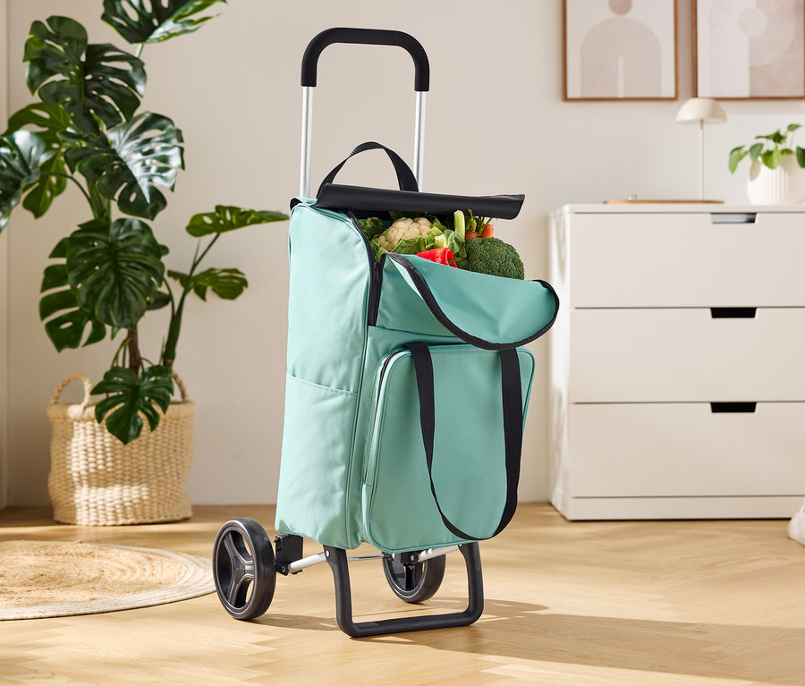 Miętowy wózek na zakupy stoi na drewnianej podłodze, wypełniony warzywami.