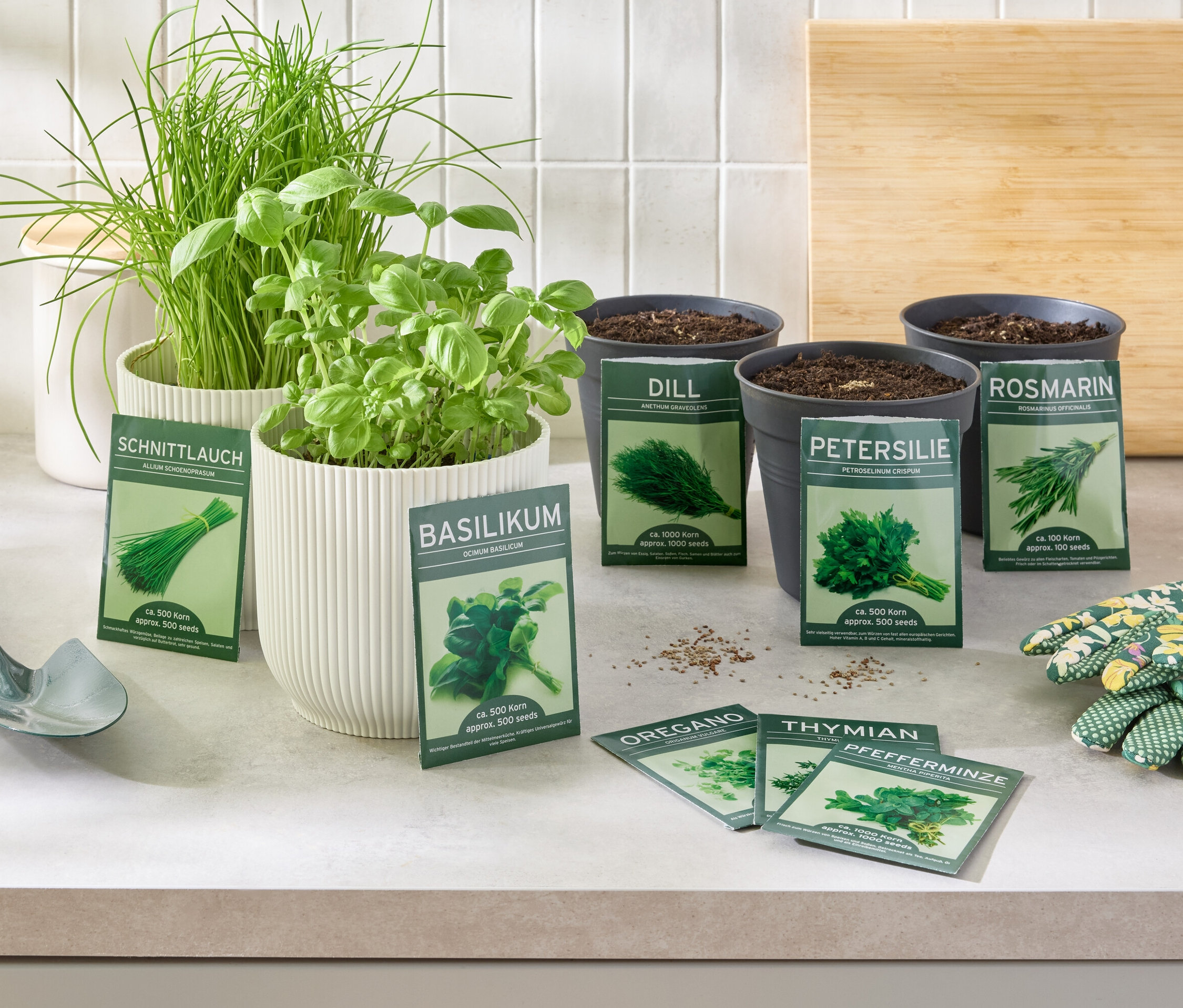 8 klasycznych ziół Zioła w doniczkach i nasiona na stole z rękawicami i łopatką.