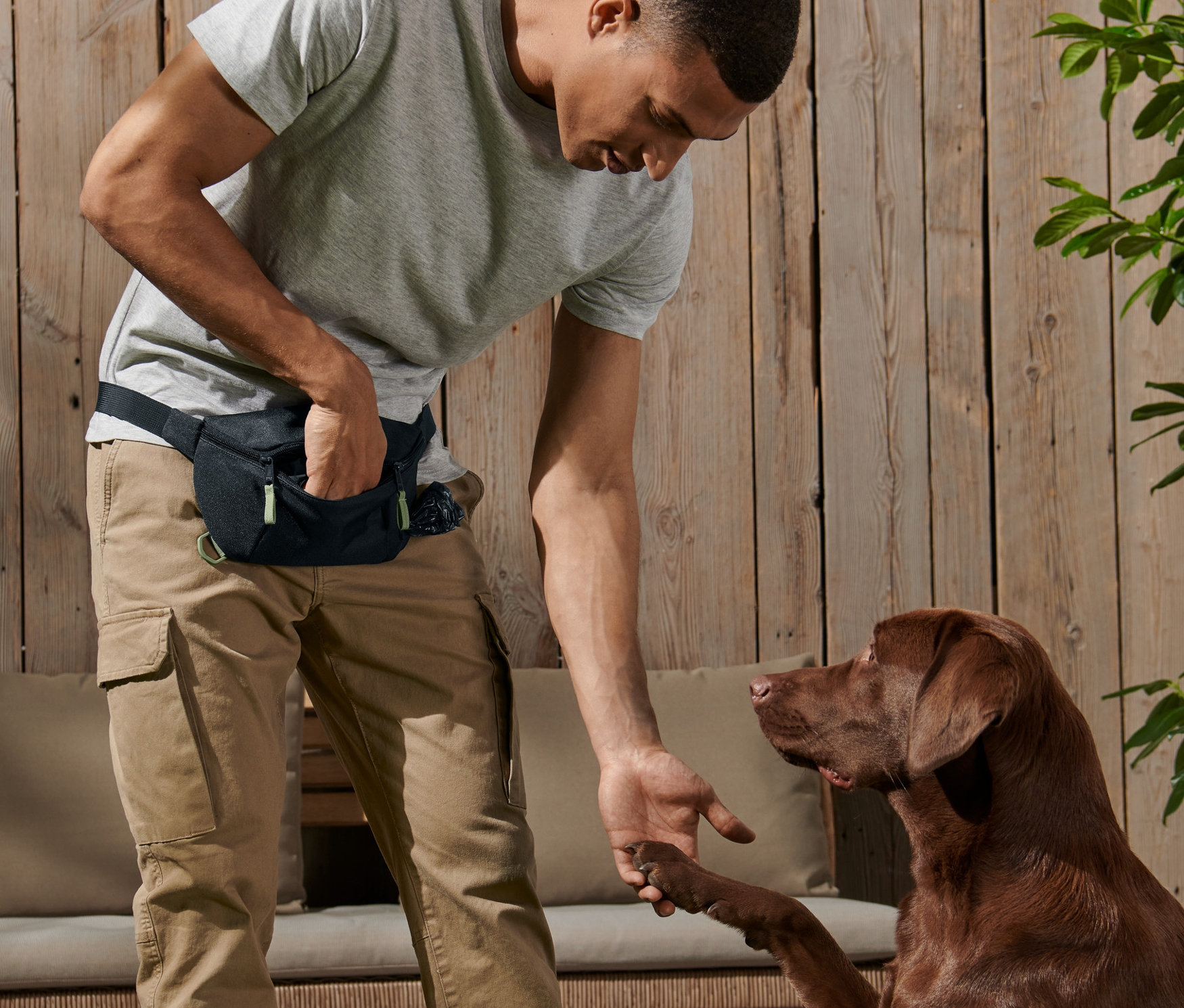 Mężczyzna podaje łapę brązowemu labradorowi; ma na sobie saszetkę na spacery z psem.