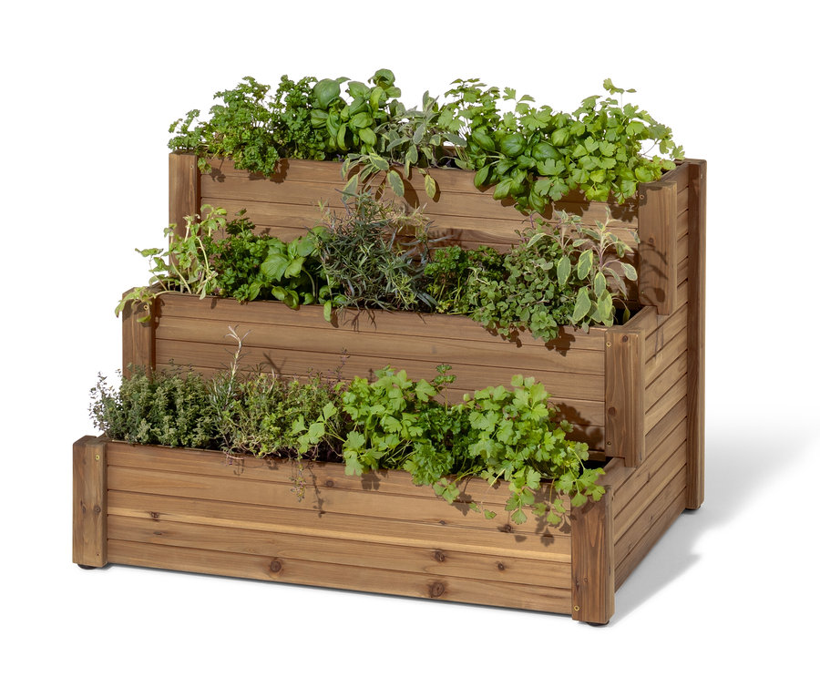 Trzypoziomowa, drewniana rabata schodkowa „Tinus” obsadzona ziołami.