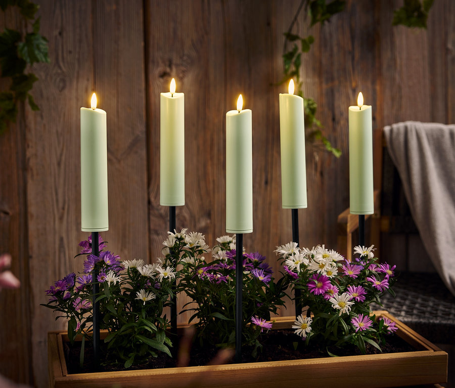 Pięć płonących, zielonych świec stoi w drewnianej skrzynce z fioletowymi i białymi kwiatami na tle drewnianej ściany.