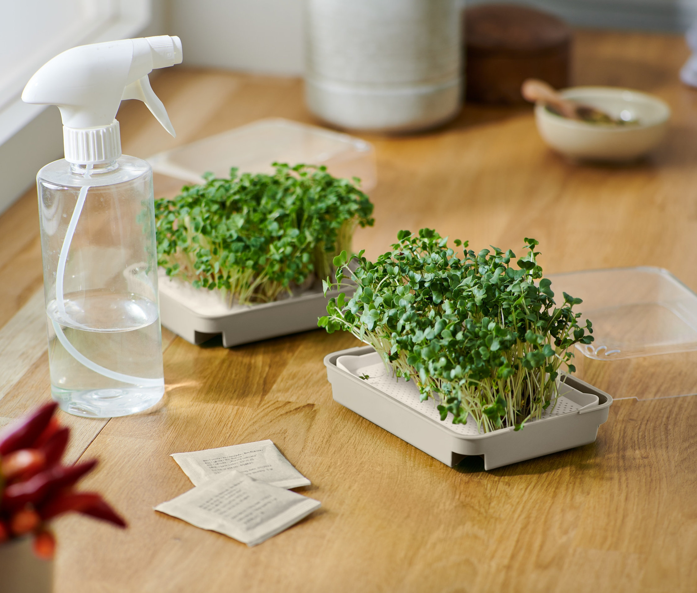 Dwa zestawy do uprawy mikroliści stoją na drewnianym stole, wraz z butelką ze spryskiwaczem i torebkami nasion.