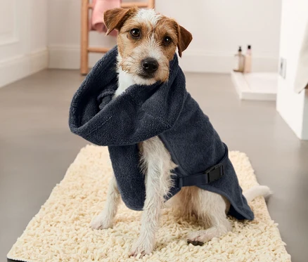 Jack Russell terrier siedzi na macie i ma na sobie granatowy płaszcz kąpielowy dla psów.