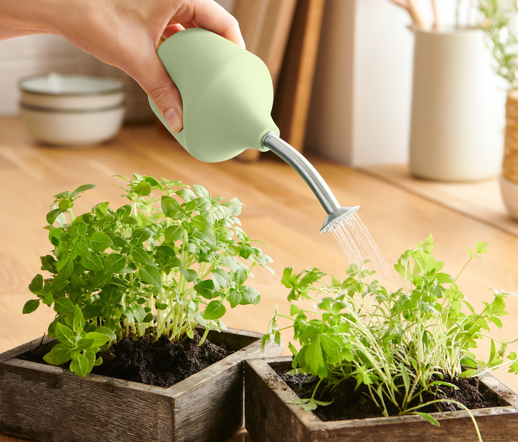 Ręka podlewa Zraszaczem do upraw dwie rośliny w drewnianych doniczkach.