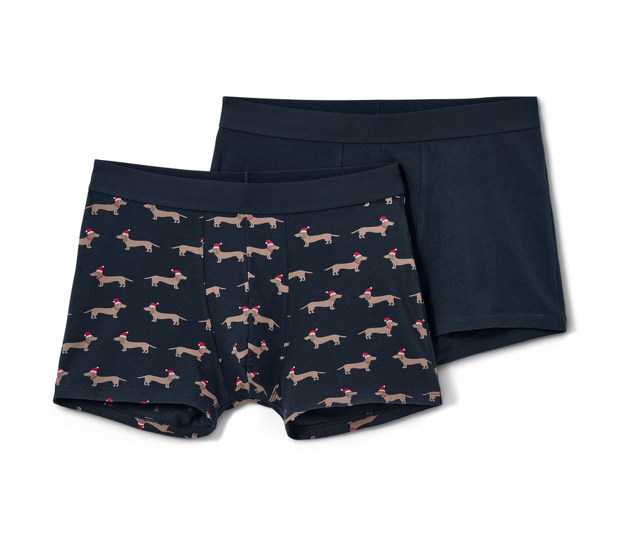 Dwie pary bokserek: jedna w jamniki w czapkach, druga niebieska.