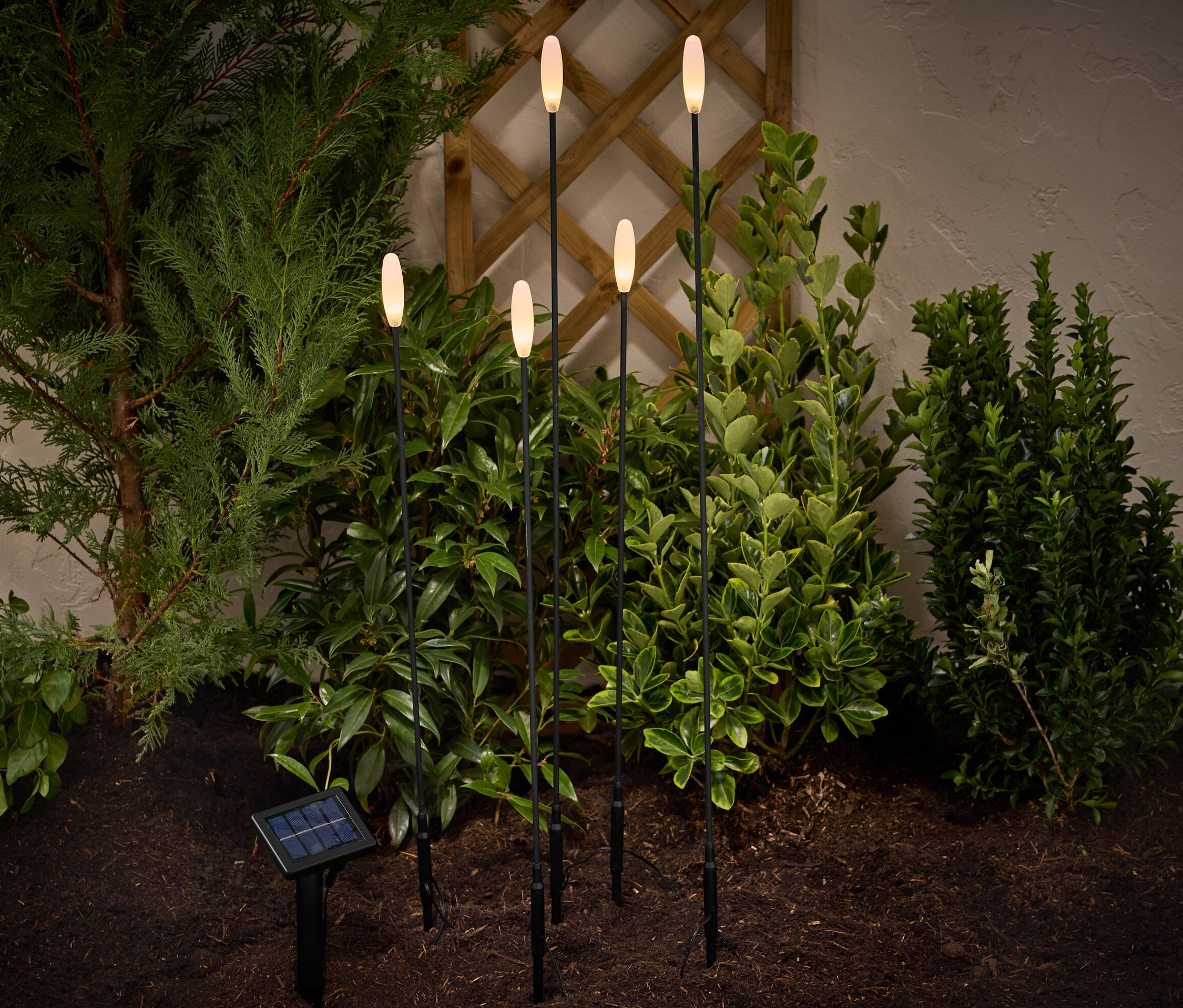 W ogrodzie wbite solarne lampy LED na szpikulcach, 5 sztuk.