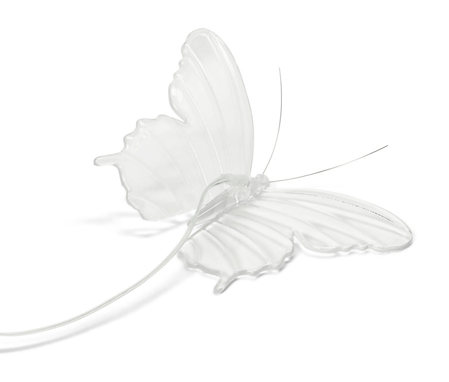 Przezroczysty motyl z czułkami i kablem.