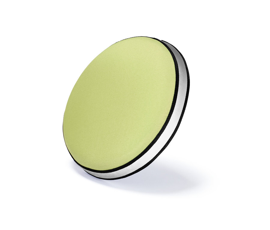 Zielony latający dysk dla psa.