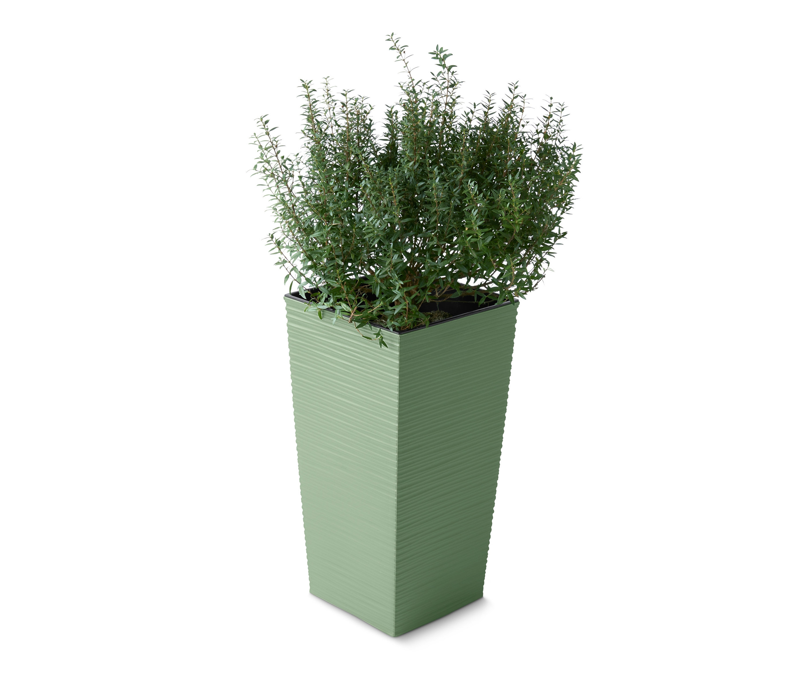 Wysoka kwadratowa donica z zieloną rośliną.