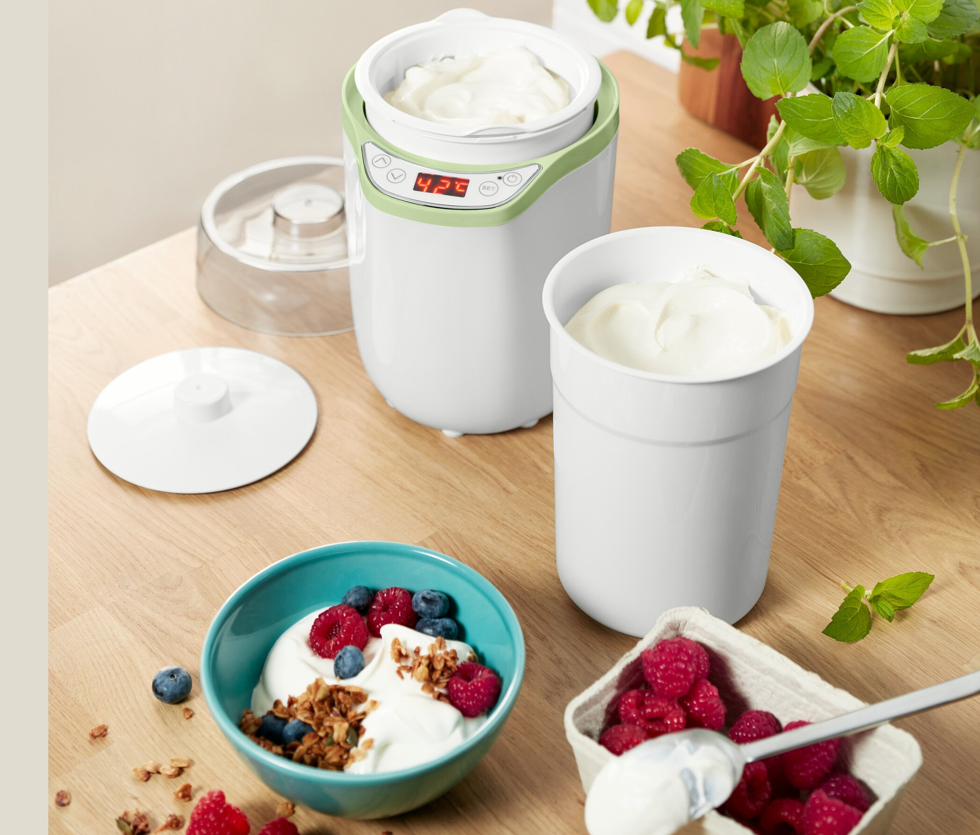 Jogurtownica z jogurtem w misce z borówkami i malinami.