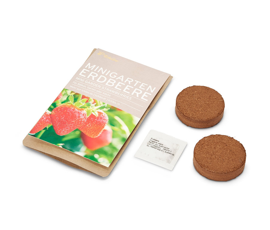 Miniogród truskawkowy w papierowej torebce, dwie brązowe tabletki i torebka nasion.