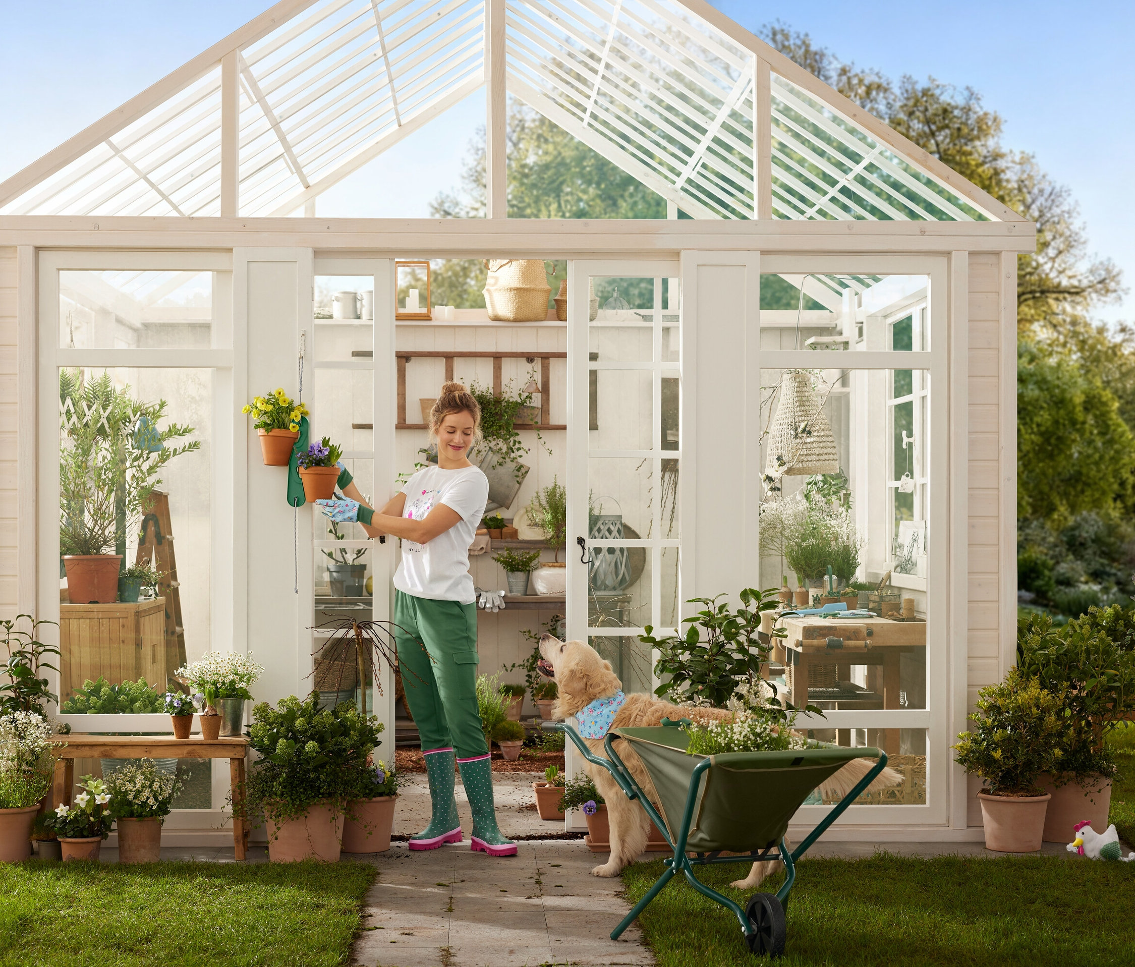 Kobieta w rękawicach ogrodowych wiesza doniczki na szklarni, podczas gdy pies stoi obok taczki.