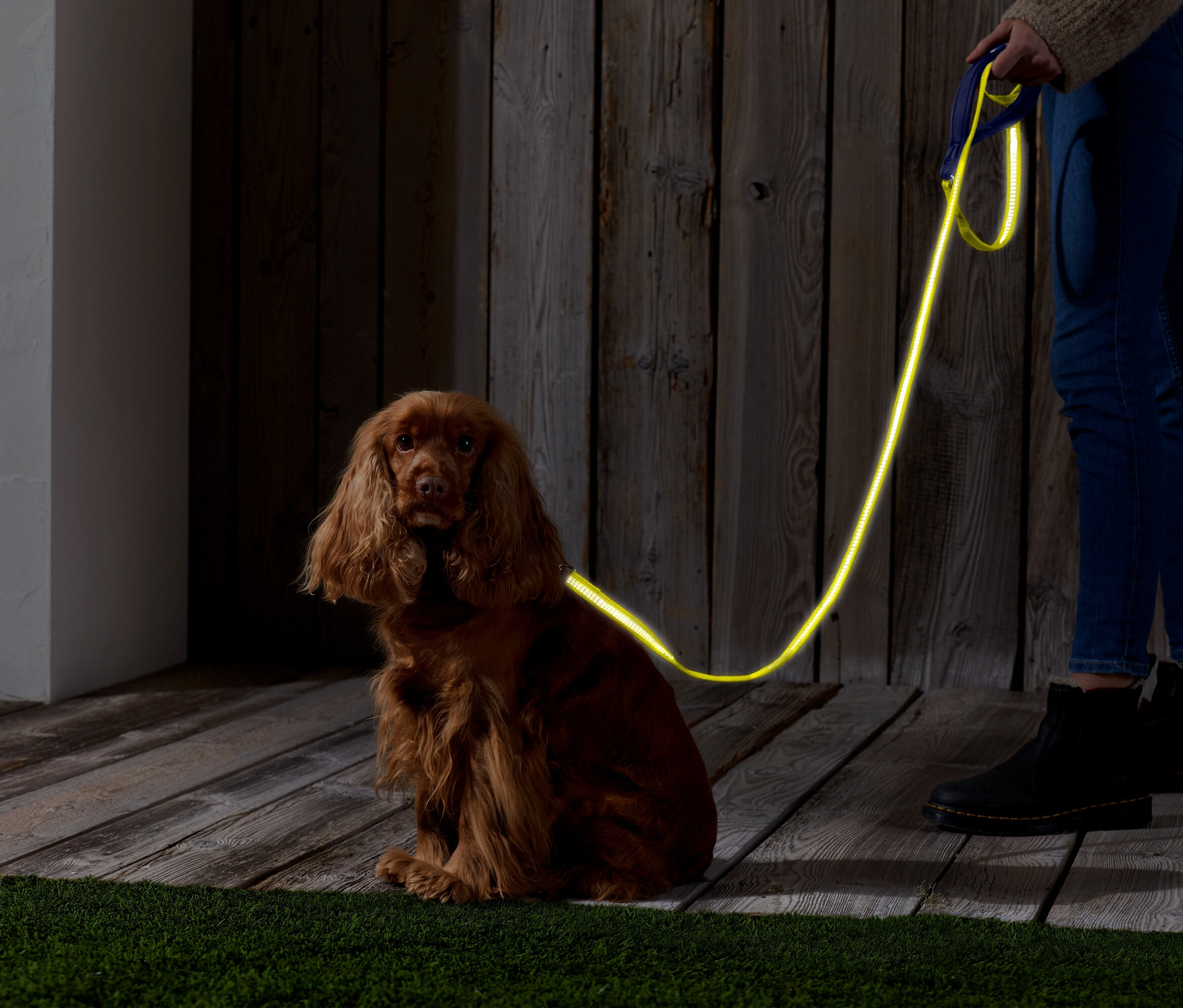 Brązowy cocker spaniel siedzi na drewnianej podłodze z neonowożółtą smyczą. Osoba trzyma smycz.