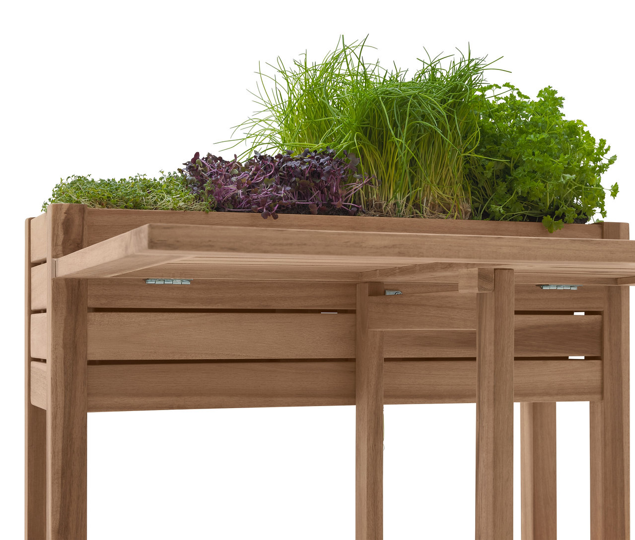 Zbliżenie drewnianego stołu do sadzenia z różnymi ziołami, w tym szczypiorkiem i pietruszką.