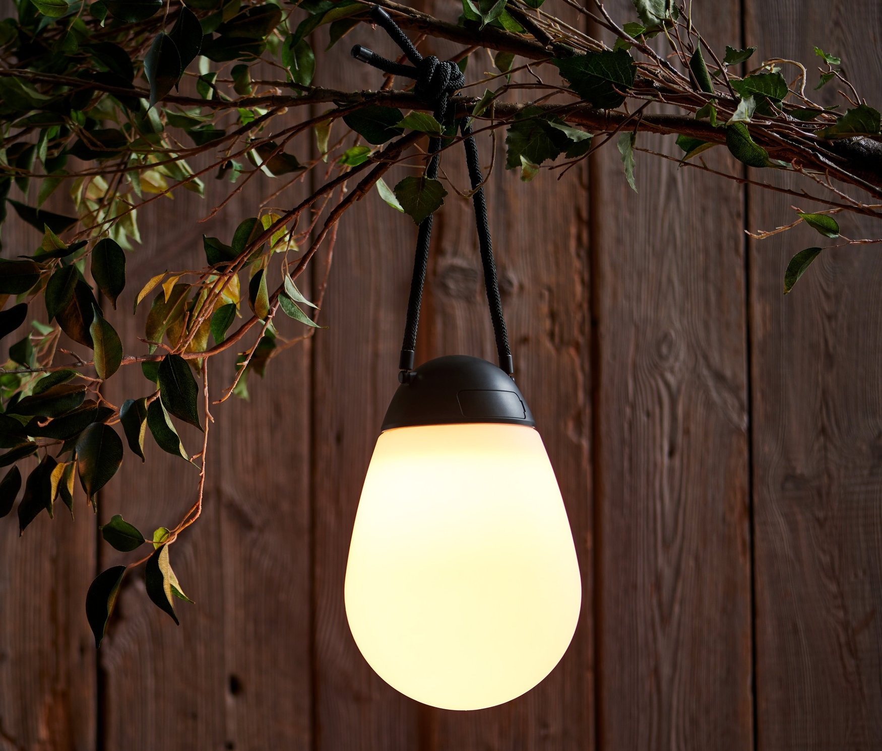 Lampa akumulatorowa LED z dodatkowym akumulatorem wisi na gałęzi drzewa.