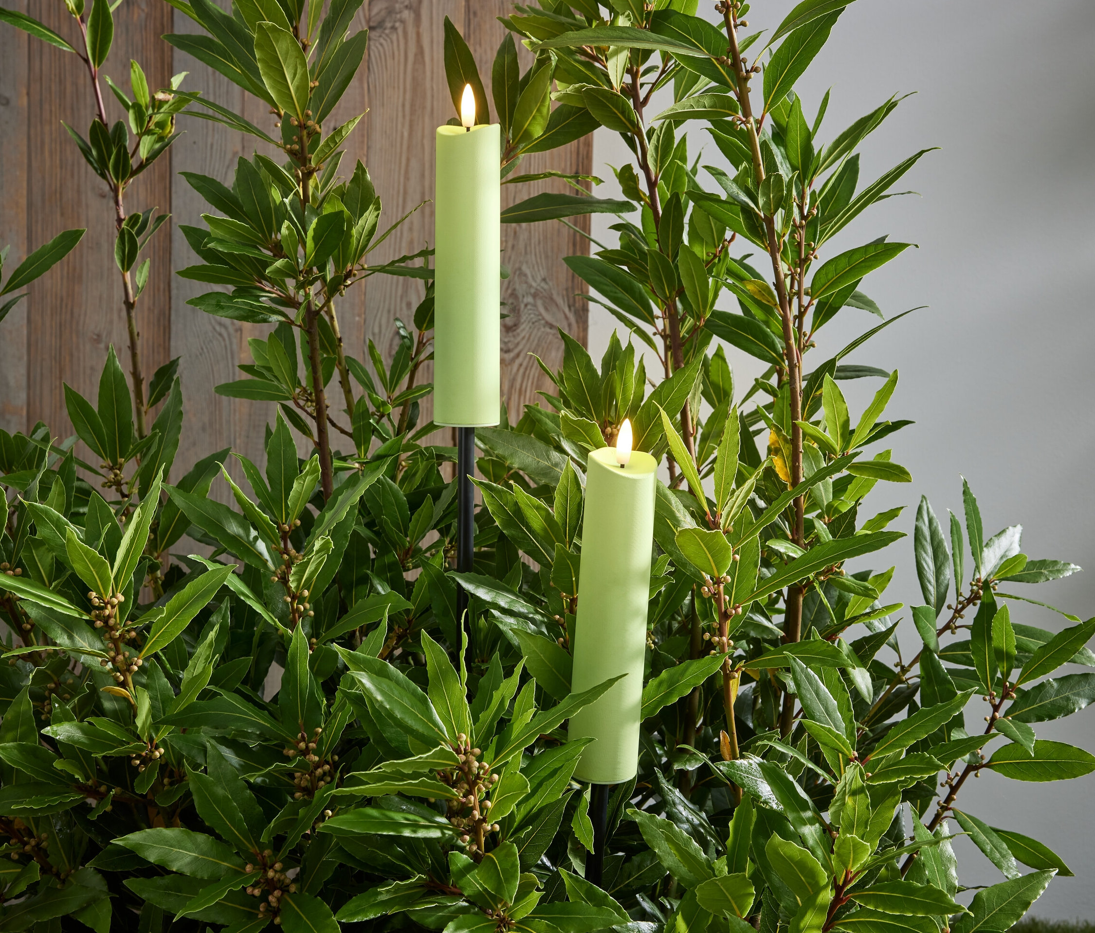 Dwie pochodnie ogrodowe LED umieszczone wśród zielonych roślin.