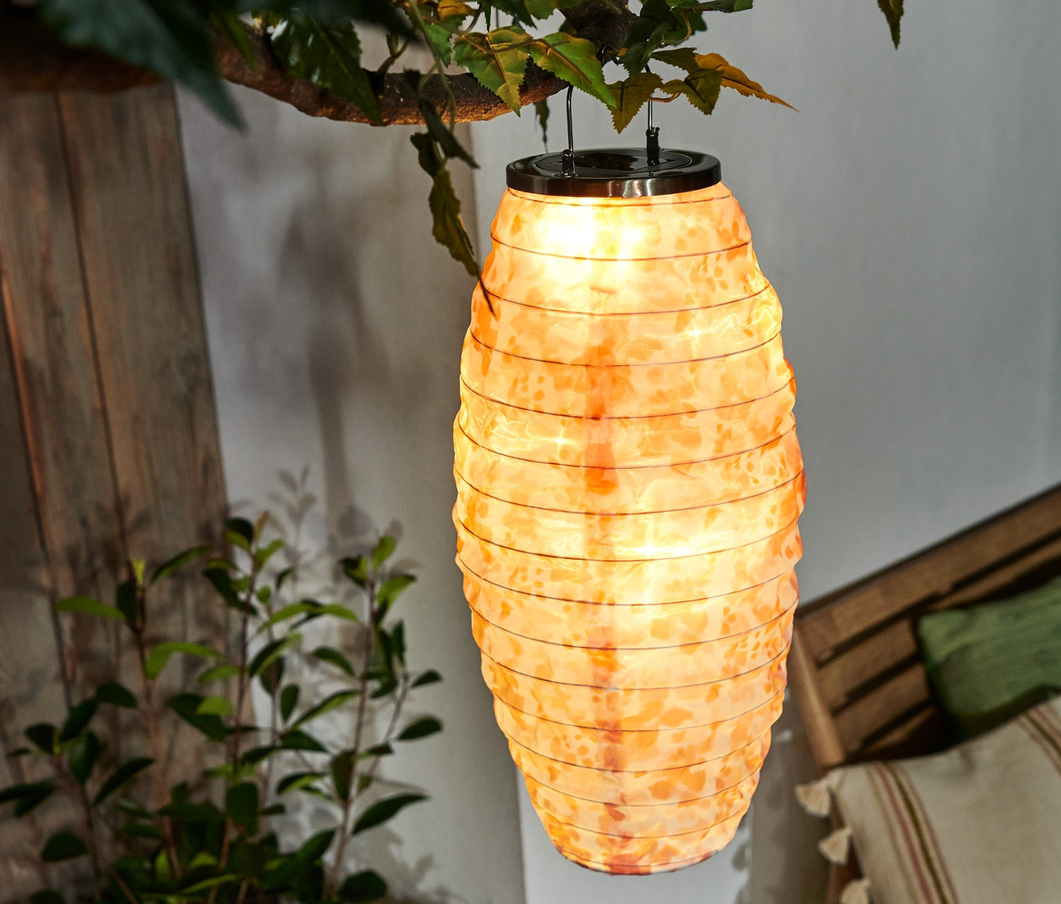 Lampion solarny zwisa z drzewa.