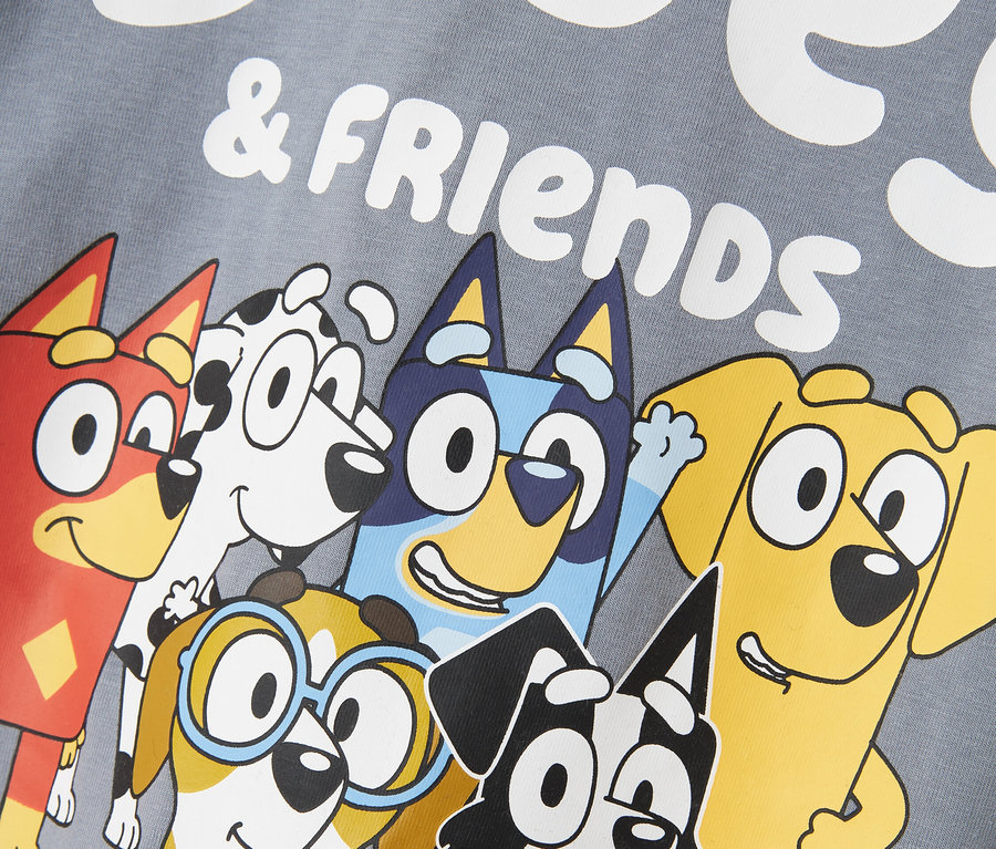Nadruk na szarym materiale z postaciami z kreskówki Bluey & Friends.
