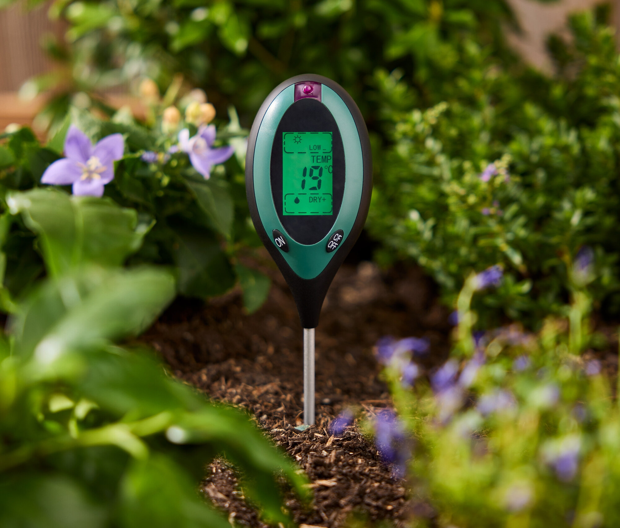 Zielony miernik gleby wbity w ziemię między roślinami.