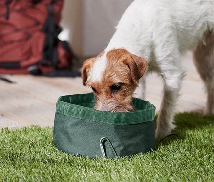 Pies pije z ciemnozielonej składanej miski dla psa na trawie. W tle widać brązowy plecak.