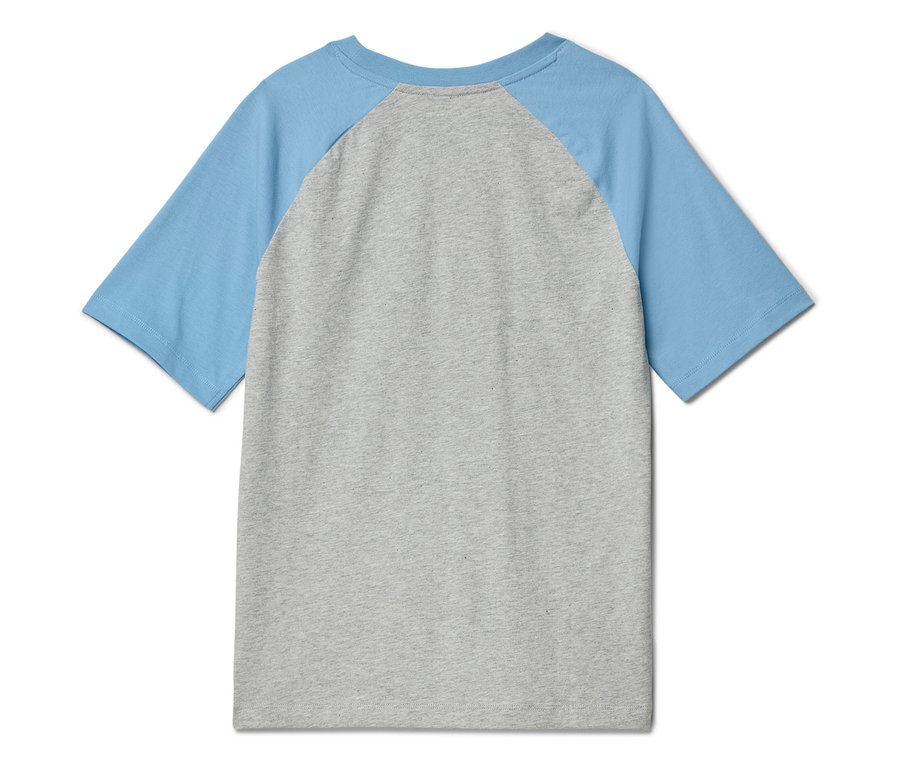 Widok z tyłu szarej melanżowej koszulki z jasnoniebieskimi raglanowymi rękawami.