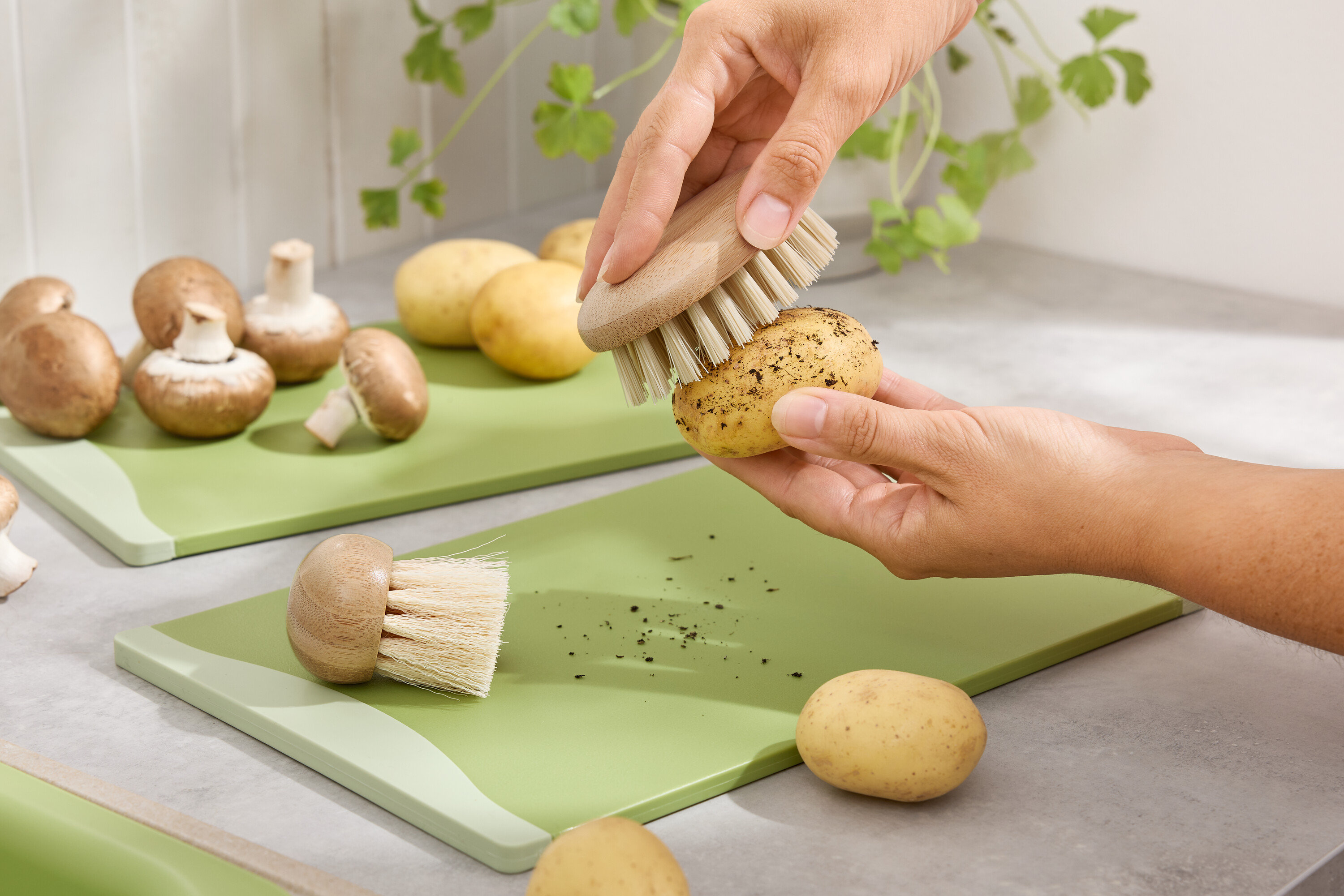 Ręce czyszczą szczotką ziemniaka na zielonej desce do krojenia. Na drugim planie brązowe pieczarki i ziemniaki.