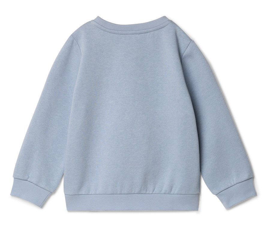 Jasnoniebieska bluza z długim rękawem, widok z tyłu.