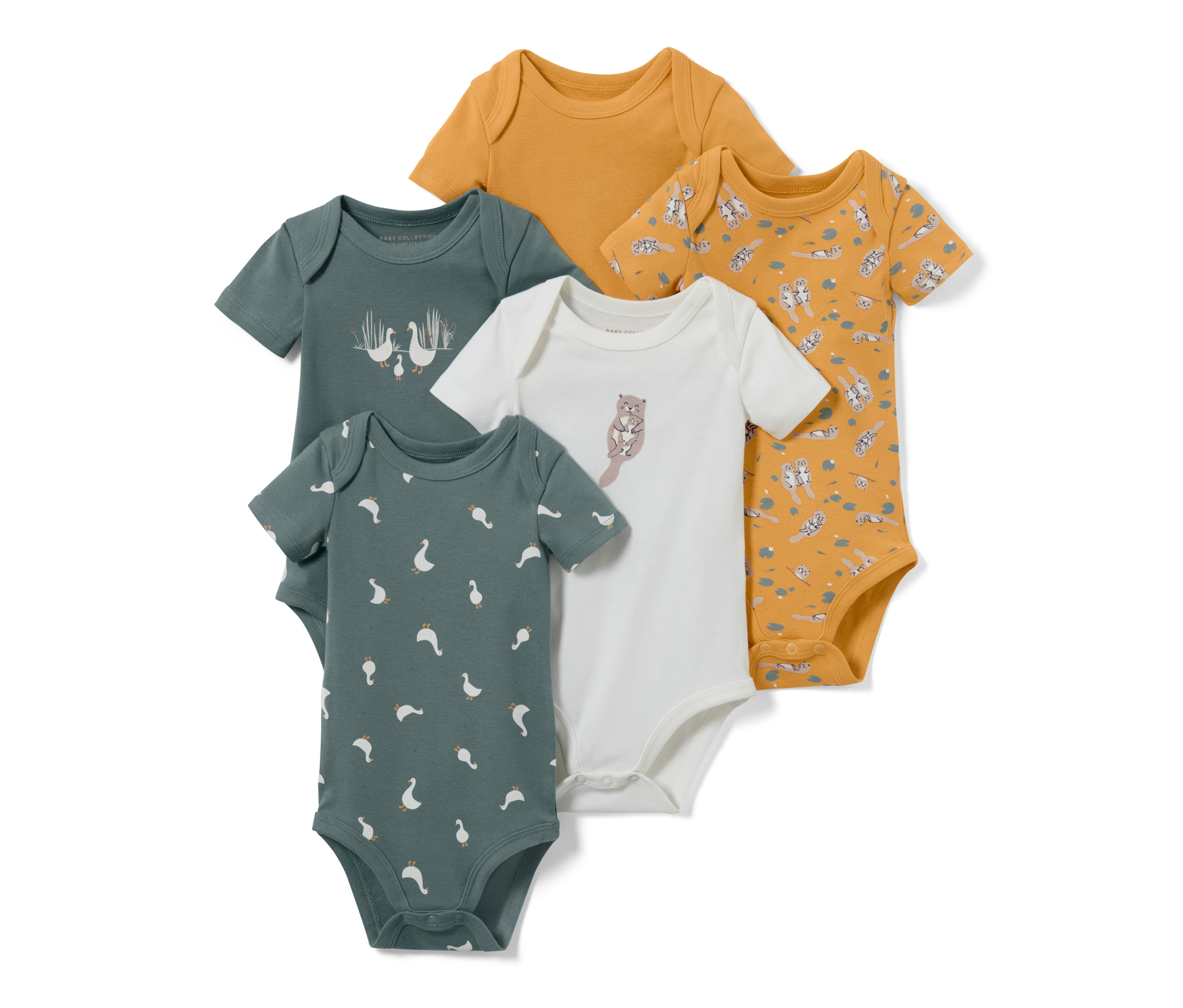 Tchibo - Body niemowlęce- niebieski/żółty