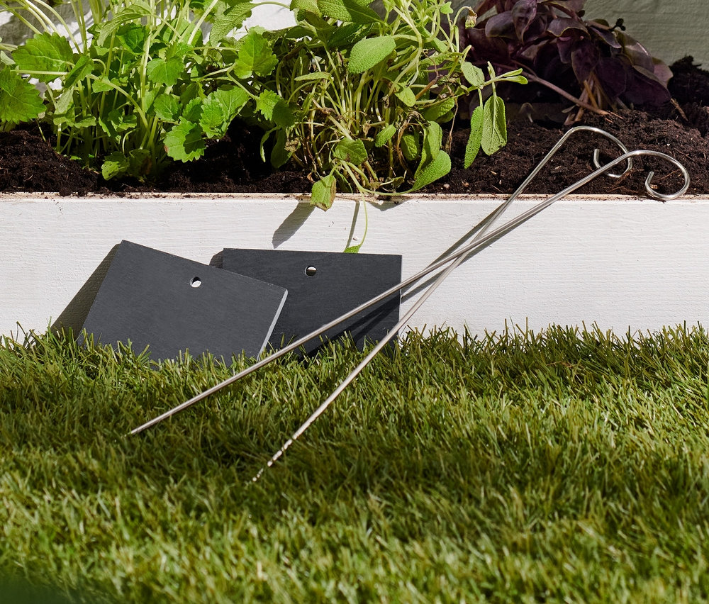 Grządka z roślinami oznaczonymi tabliczkami z łupku do opisu roślin.