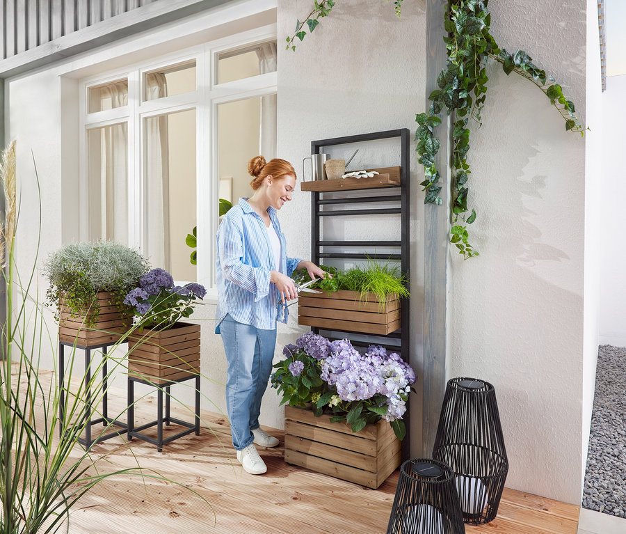 Kobieta przycina zieloną roślinę w drewnianej skrzynce na regale. Na zewnątrz stoją drewniane donice z roślinami i fioletowymi kwiatami.