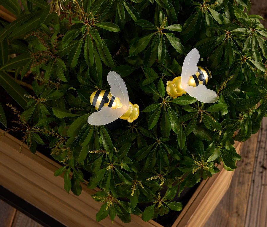 Dwie żółte i czarno-białe pszczoły z prześwitującymi skrzydłami wśród zielonych liści w drewnianej skrzynce.