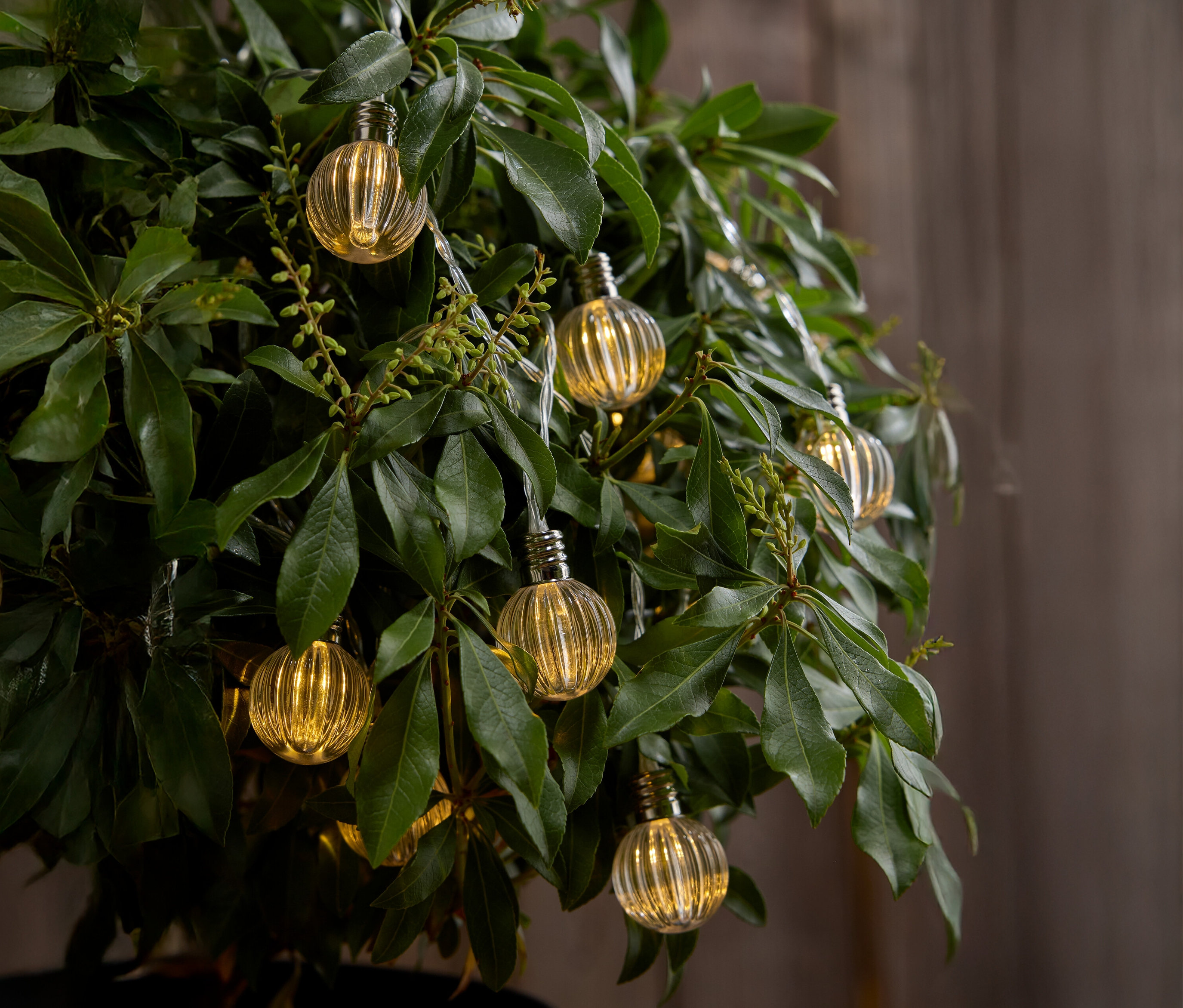 Zbliżenie drzewa z małymi żółtymi żarówkami wiszącymi między liśćmi.