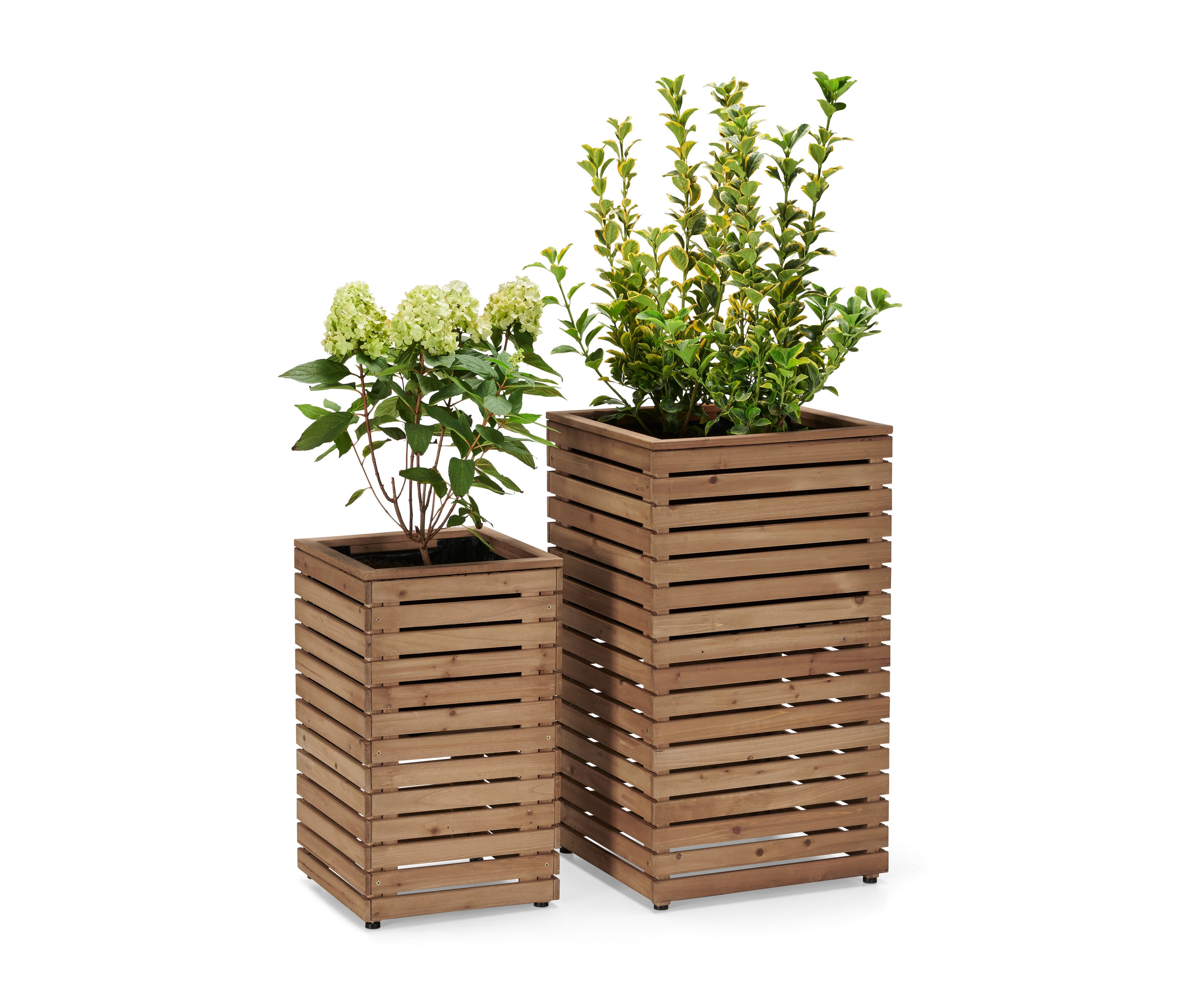 Tchibo - 2 donice-kolumny na rośliny »Tinus« - kolor: brązowy