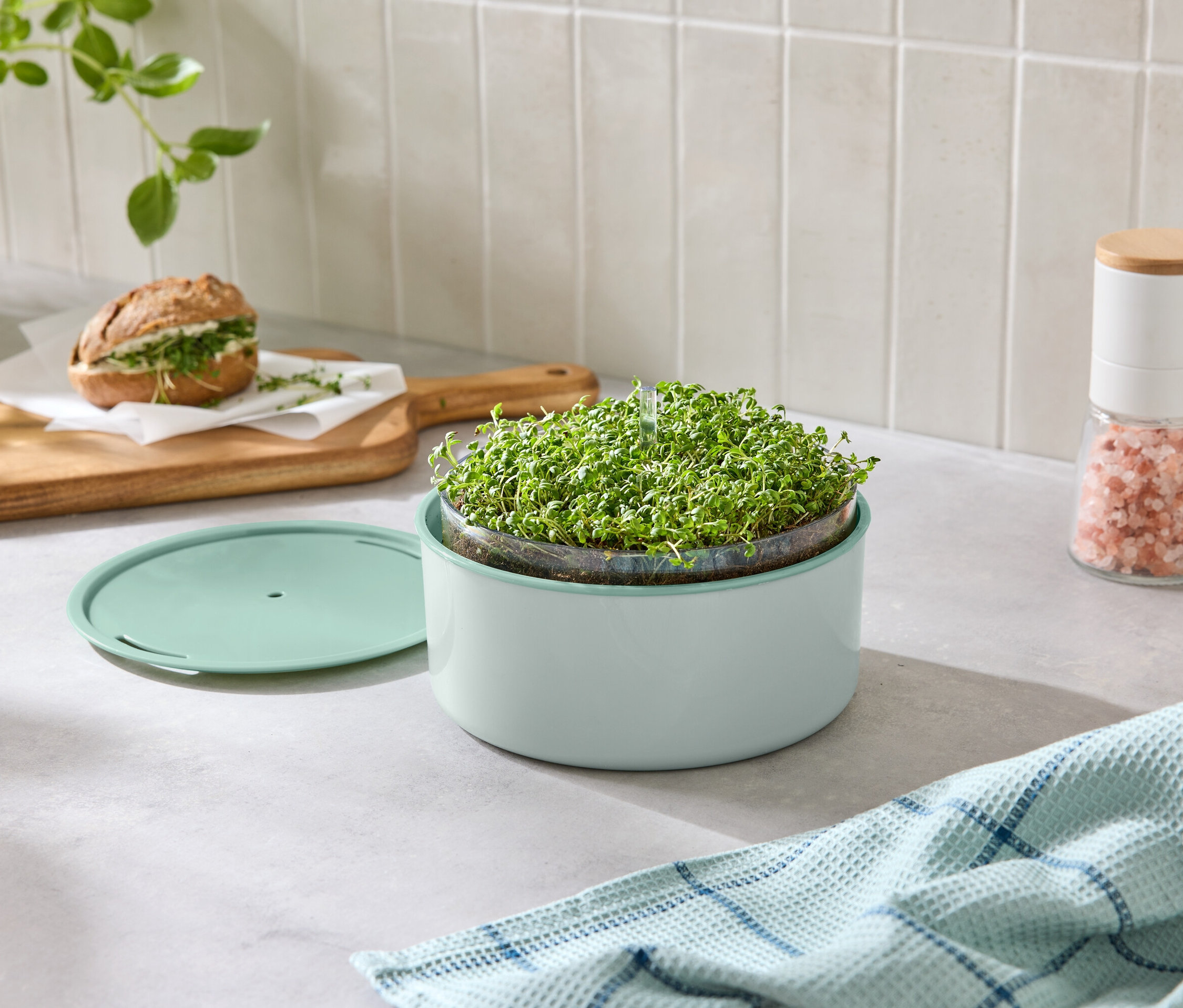 Zdjęcie blatu z urządzeniem do uprawy kiełków, kanapką, solniczką i ściereczką.