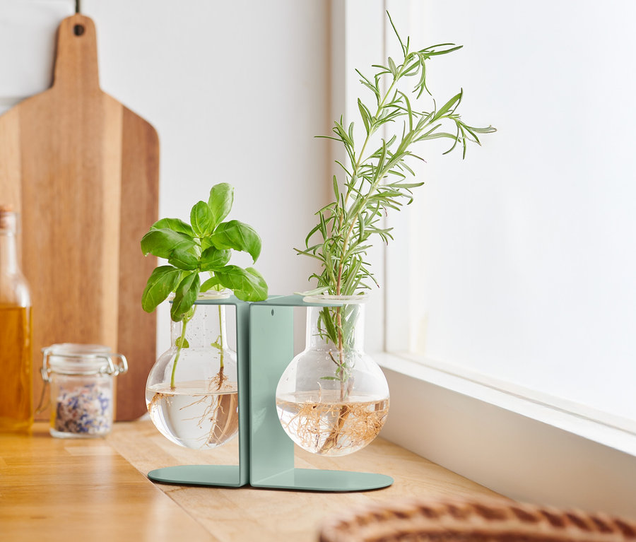 Bazylia i rozmaryn w stacji do sadzonek na blacie kuchennym.