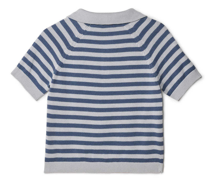 Widok z tyłu w paski, z krótkim rękawem, polo w kolorze niebieskim i szarym.