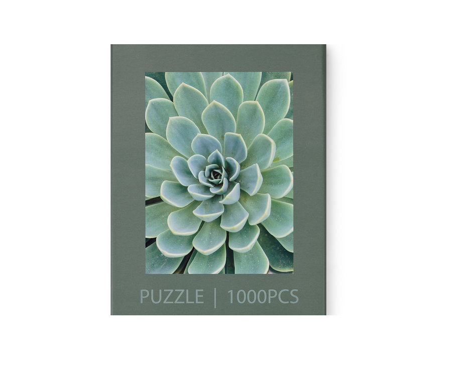 Pudełko puzzli „Sukulenty”.