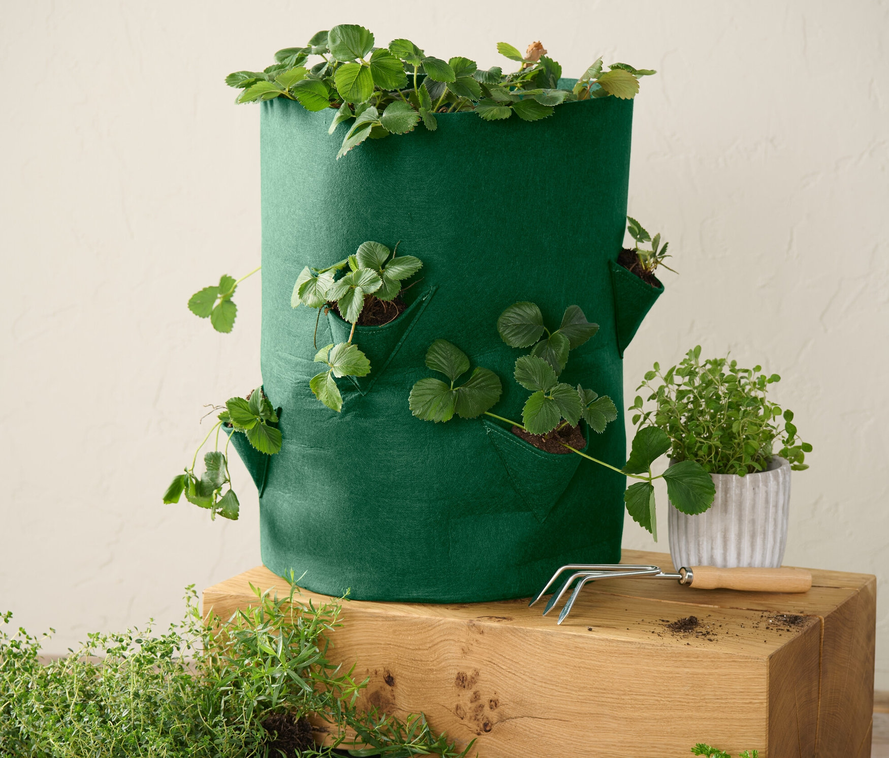 Zielony worek do uprawy truskawek z roślinami na drewnianej kostce.