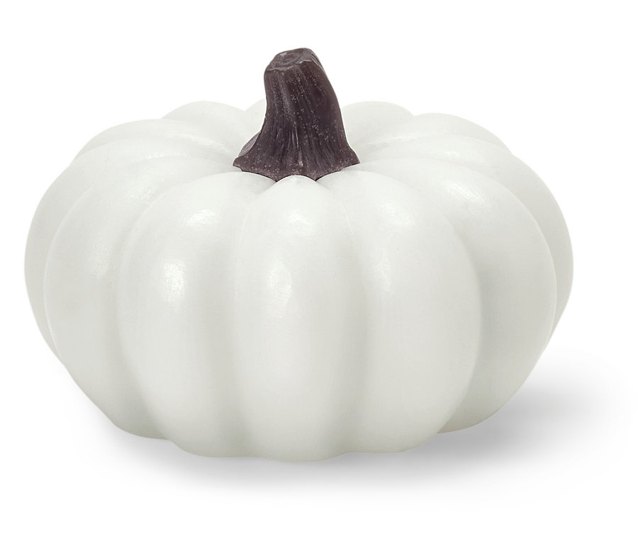 Biała dynia z brązową łodygą.