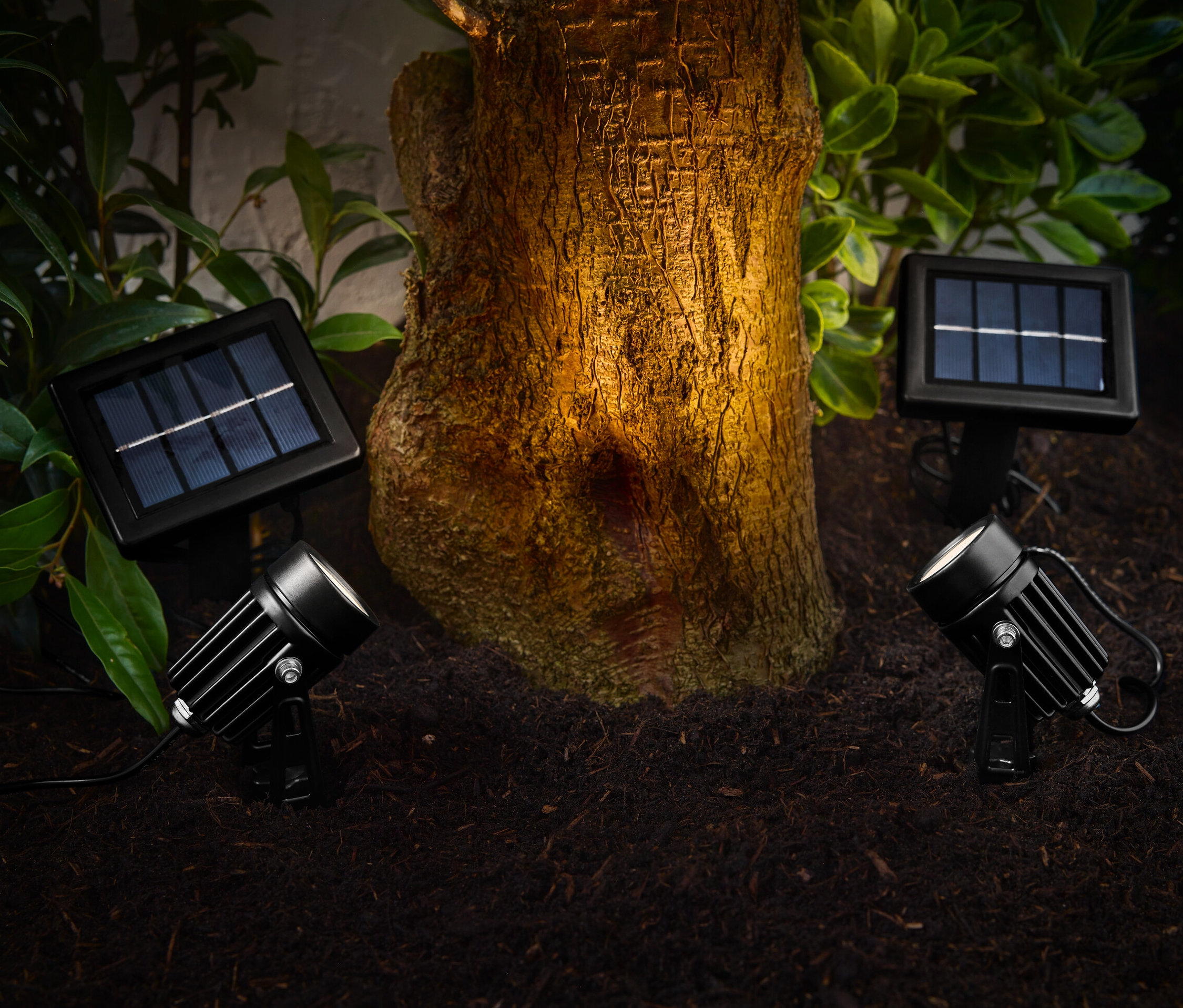 Dwa reflektory solarne oświetlają pień drzewa w ogrodzie.