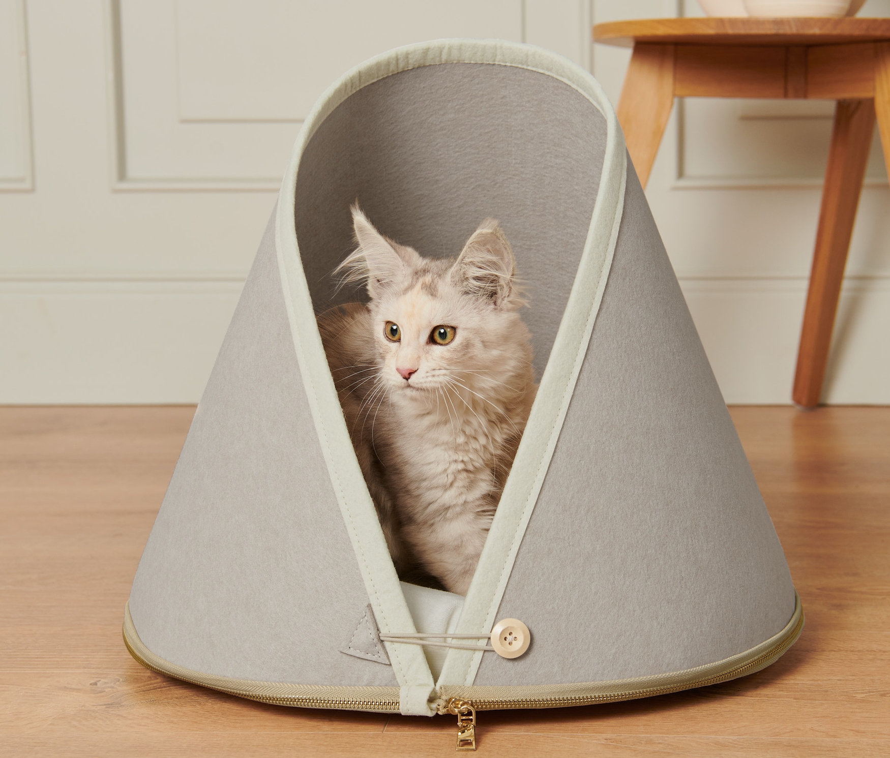 Kot leży w szarym legowisku dla kota z poduszką.