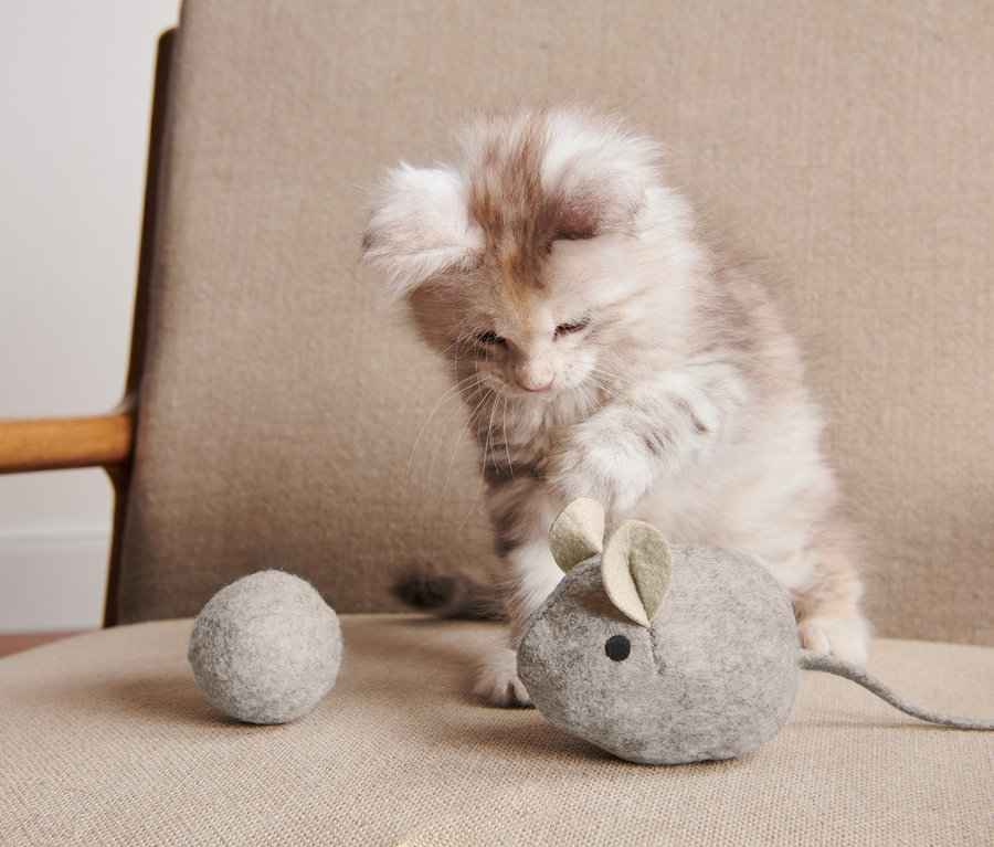 Kociak bawi się szarą pluszową myszką i szarą wełnianą piłką z zestawu zabawek dla kota.