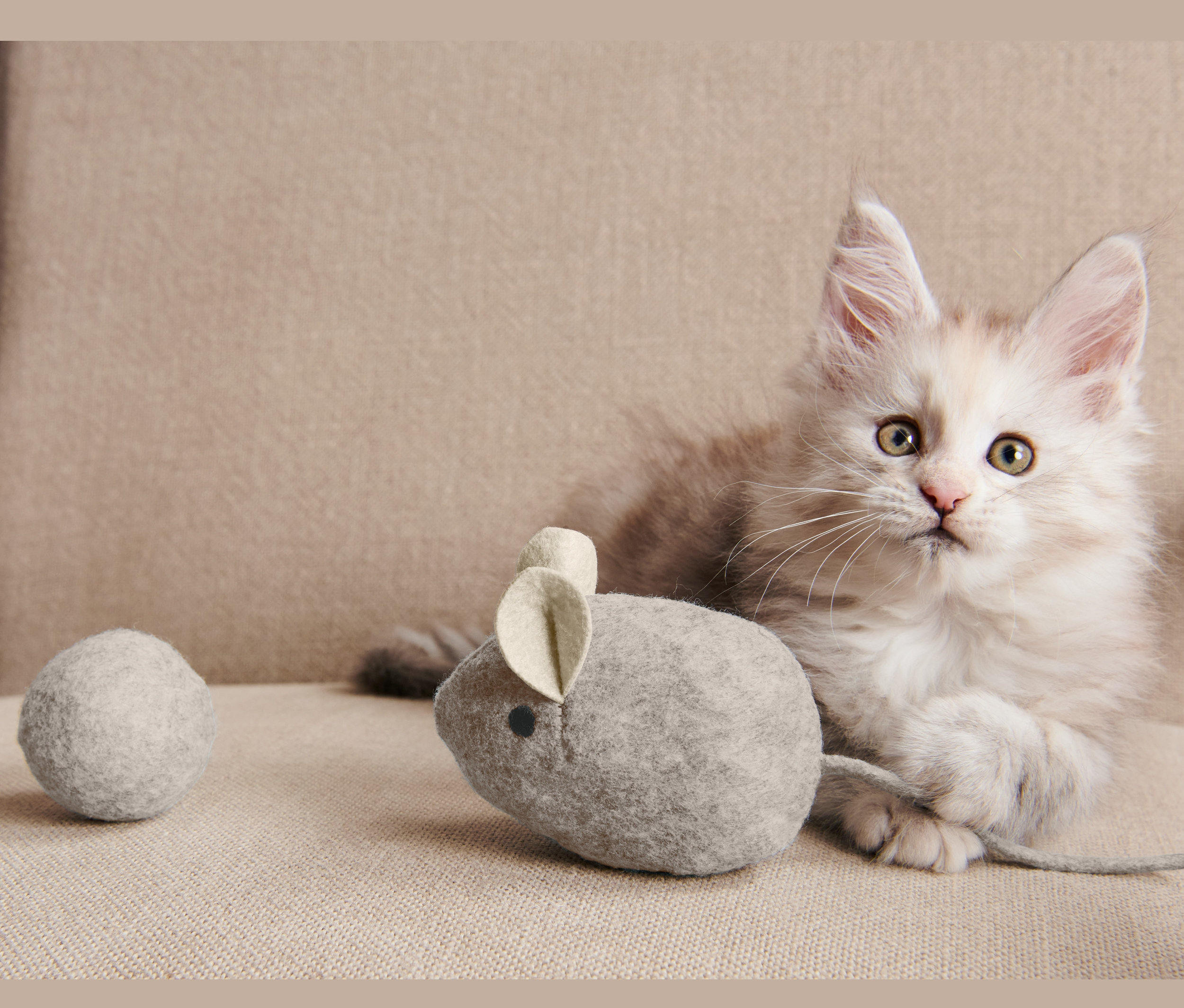 Kociak leży na beżowym krześle obok zestawu zabawek dla kota.