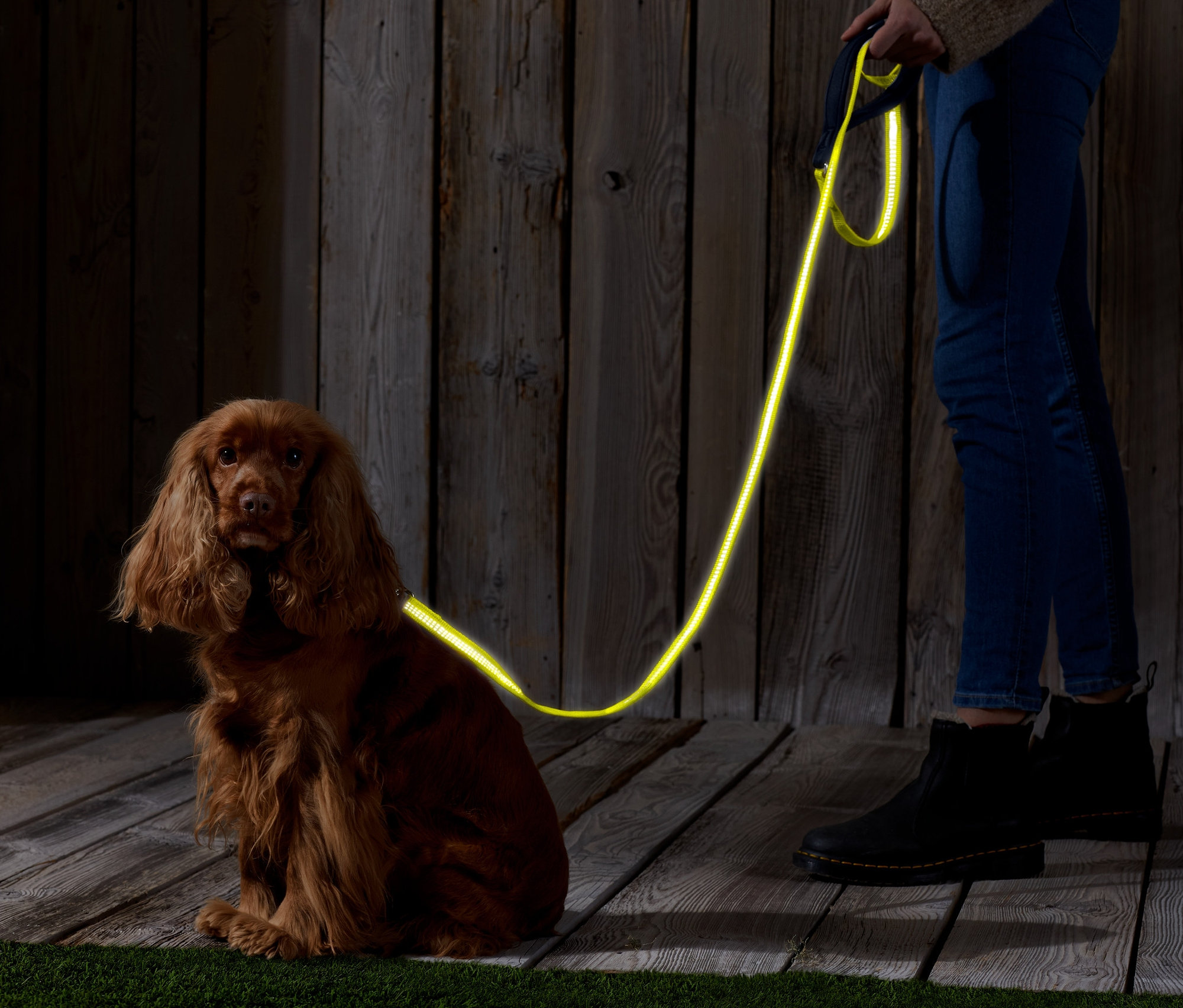 Brązowy cocker spaniel siedzi obok osoby trzymającej smycz dla psa z elementami odblaskowymi.