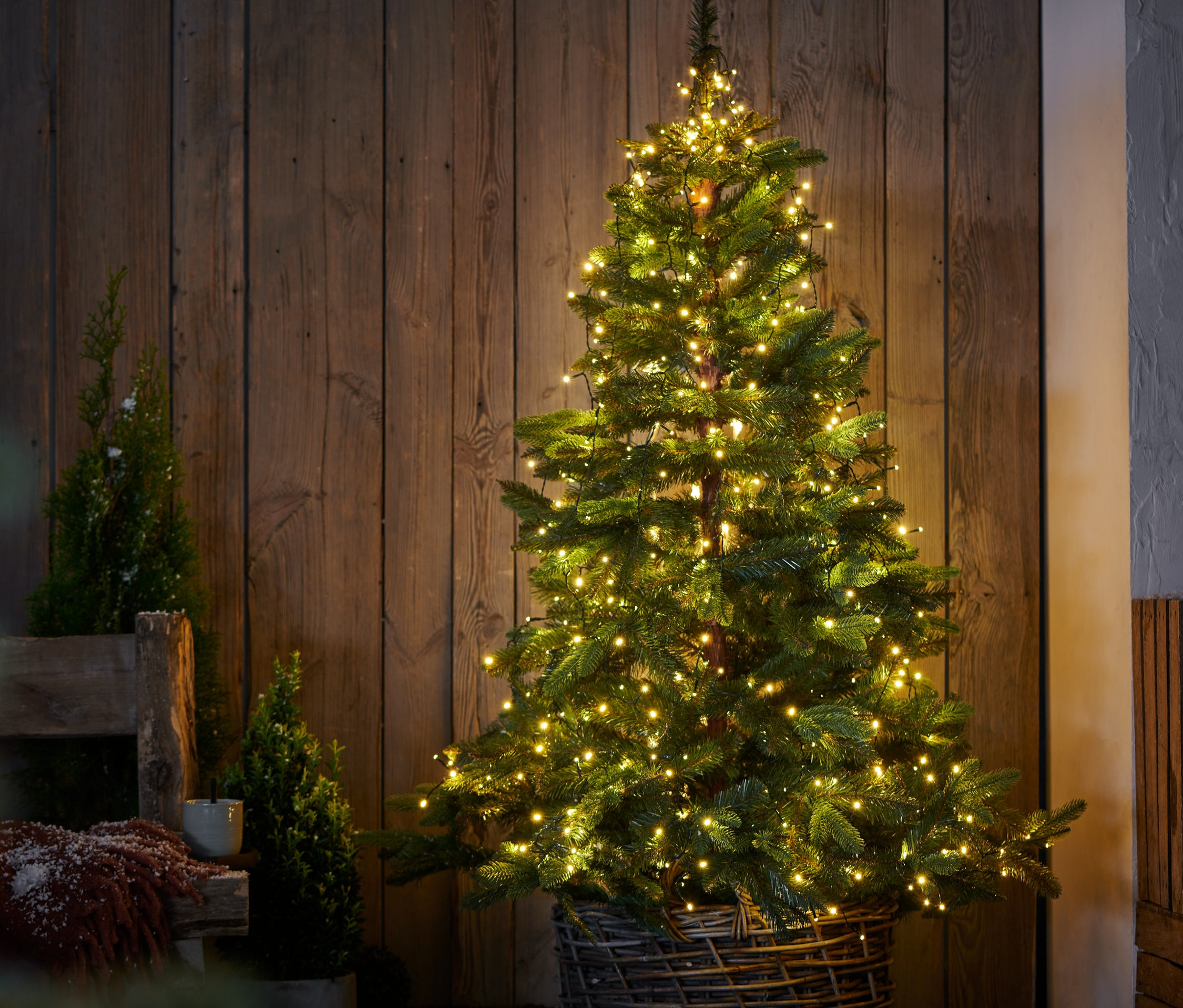 Choinka z oświetleniem choinkowym LED w wiklinowym koszu stoi przy drewnianej ścianie.