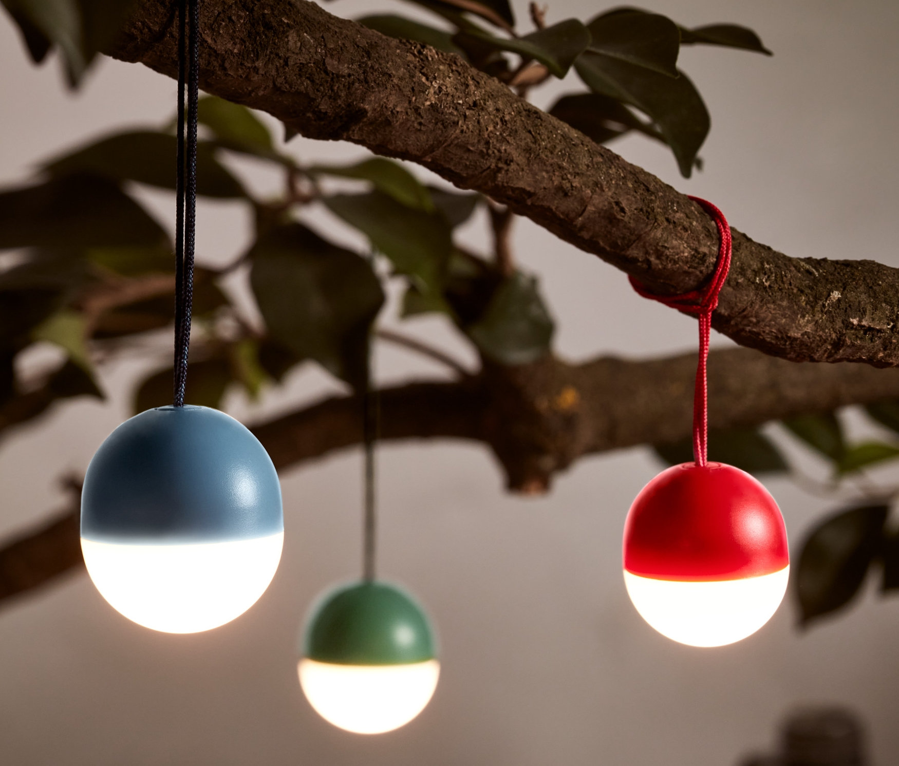 Na gałęzi wiszą trzy małe lampki LED.