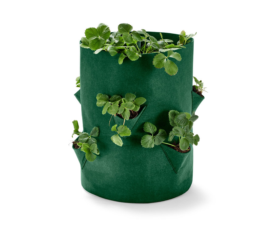 Zielony worek do uprawy truskawek z roślinami.