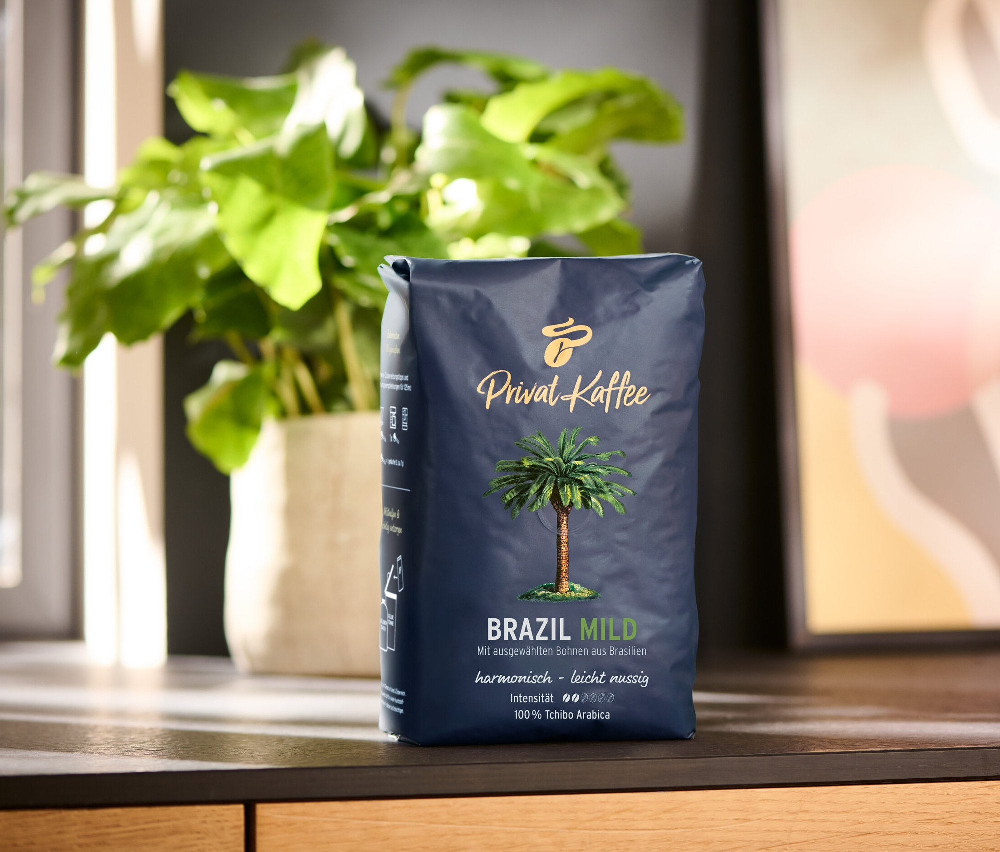 Opakowanie 500 g kawy ziarnistej Privat Kaffee Brazil Mild stoi na drewnianej powierzchni. W tle roślina doniczkowa i abstrakcyjny obraz.