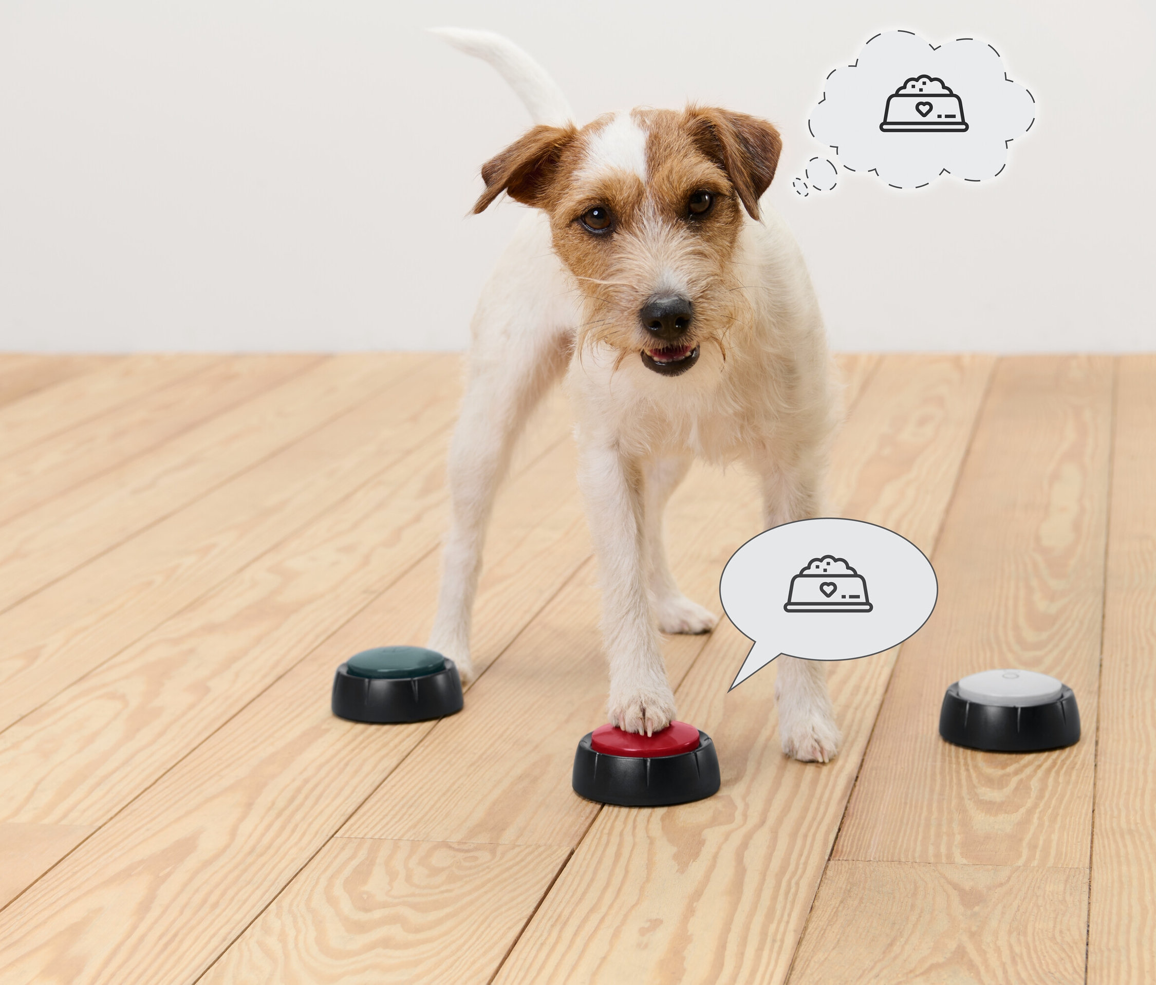 Jack Russell terrier stoi na drewnianej podłodze i naciska łapą czerwony przycisk. Inne przyciski są zielone i szare. W dymkach nad psem znajduje się ikona miski z karmą.